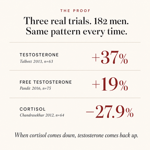 Testosterone